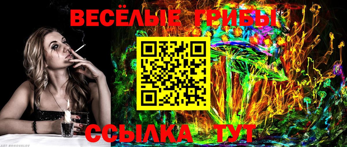 Санкт-Петербург  купить наркотик  Псилоцибиновые грибы прущие грибы  Вход с VPN  Галлюциногенные грибы мухоморы 